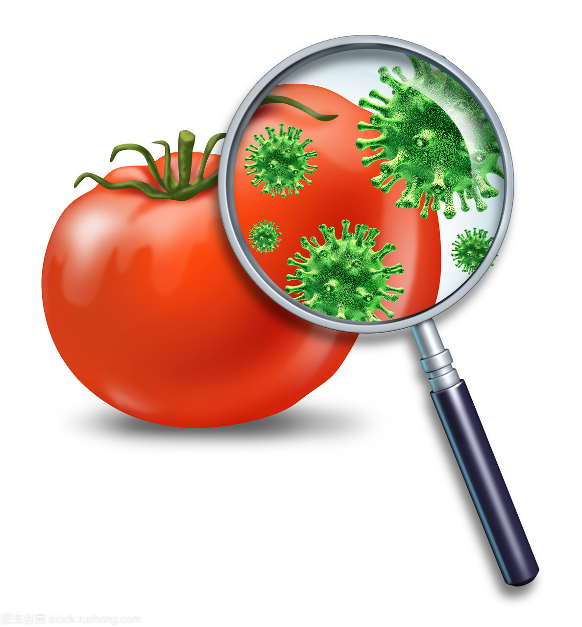 食品安全 从农田到餐桌的守护